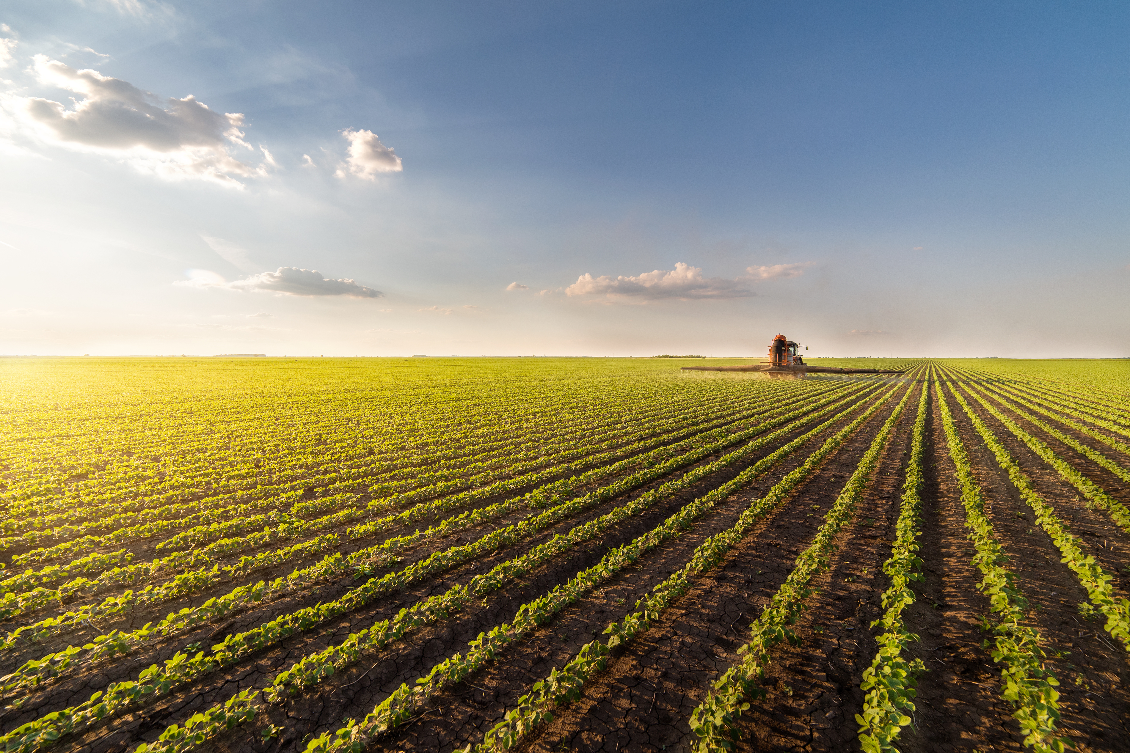 Pesticide residue analysis for food safety monitoring